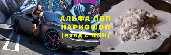 ГАЛЛЮЦИНОГЕННЫЕ ГРИБЫ Осинники