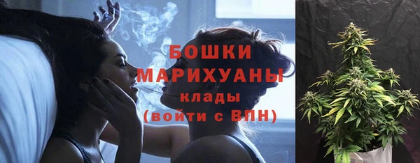 ГАЛЛЮЦИНОГЕННЫЕ ГРИБЫ Осинники