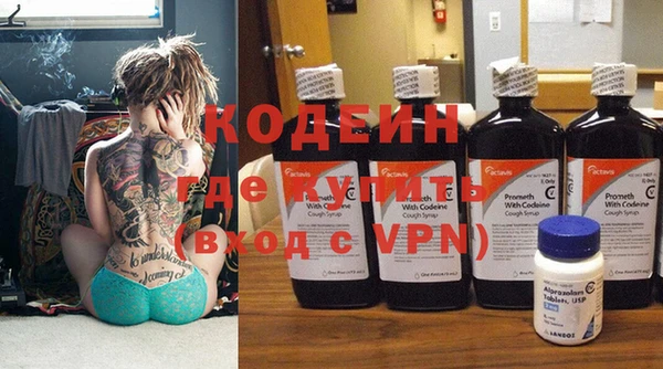 ГАЛЛЮЦИНОГЕННЫЕ ГРИБЫ Осинники