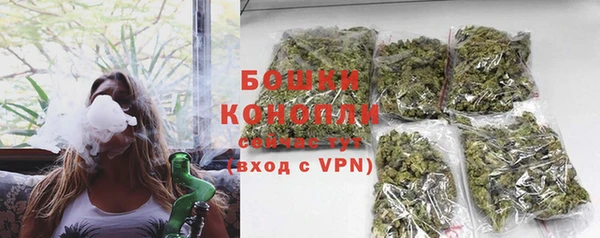 ГАЛЛЮЦИНОГЕННЫЕ ГРИБЫ Осинники