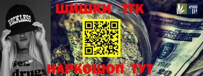 индика Надым
