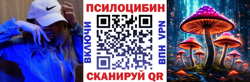 купить закладку  Отрадное  Галлюциногенные грибы Magic Shrooms 