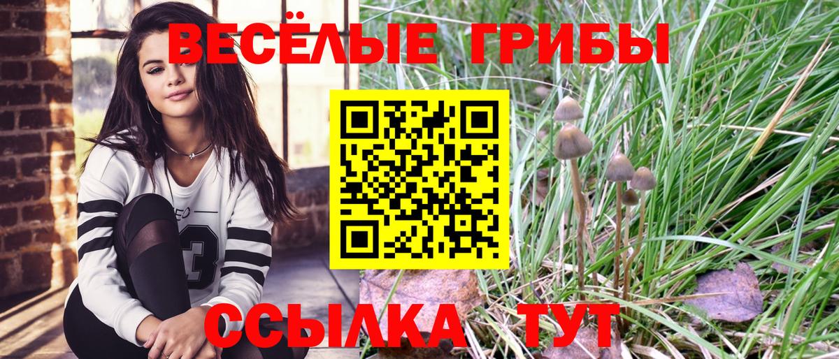Псилоцибиновые грибы мухоморы Отрадное