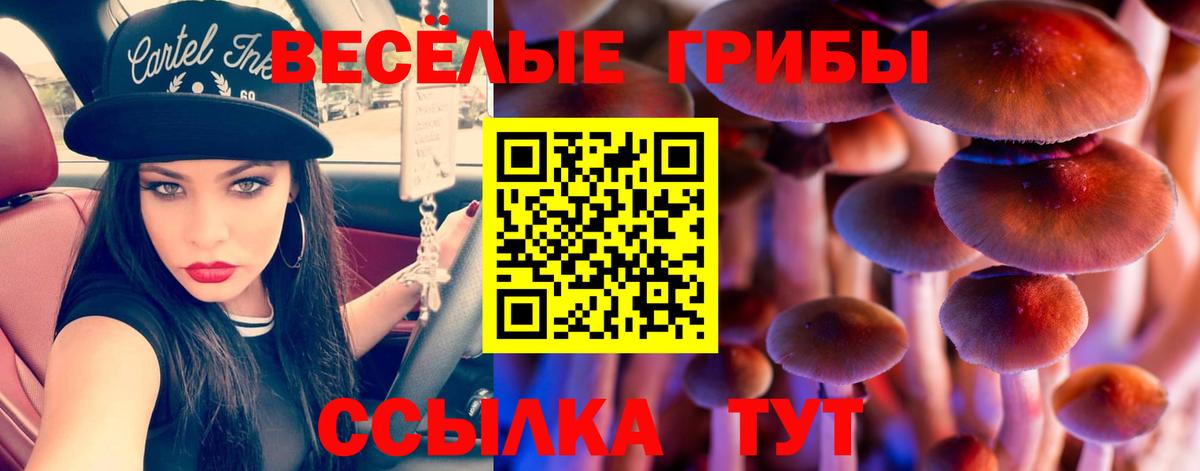 Отрадное  Псилоцибиновые грибы мухоморы  Вход с VPN 